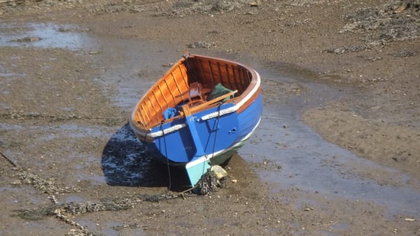 Getting busy in Salcombe